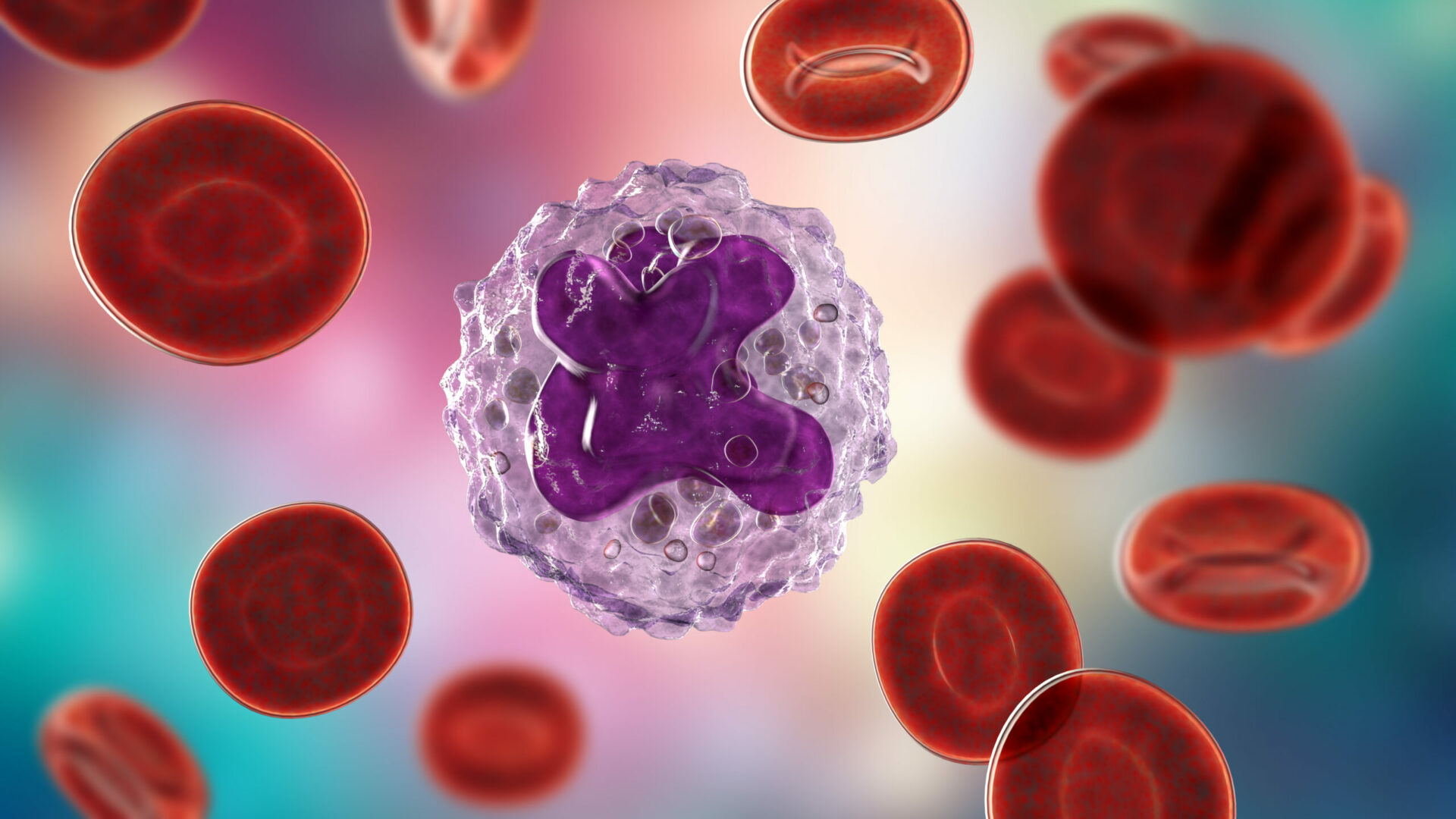 Detailed illustration revealing the intricate inner structure of a monocyte cell, vital in the immune system's defense.