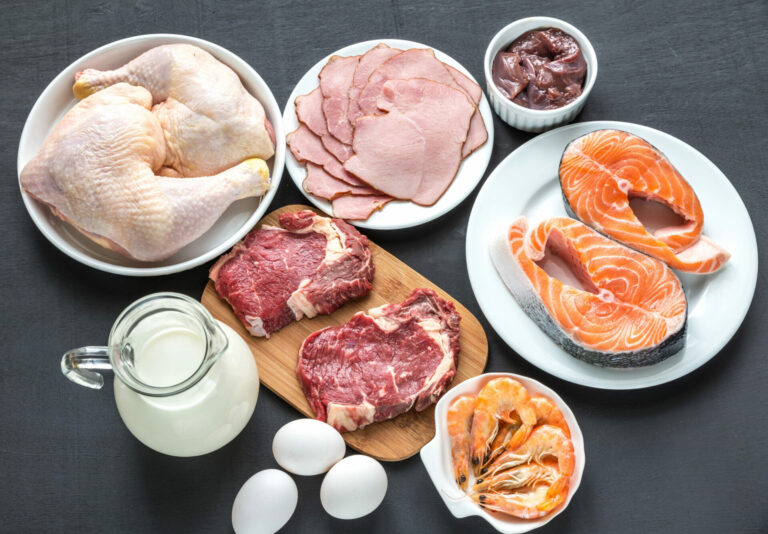 The Ultimate Importance of Protein In The Diet